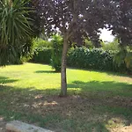 شاليه Momon1616 Intero