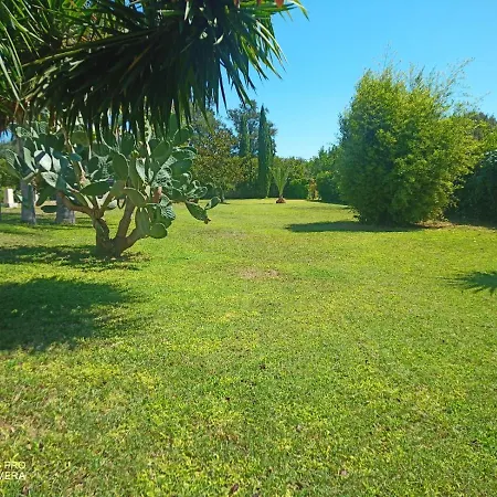 Momon1616 Intero 샬레 갈라티나