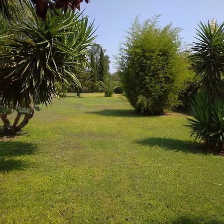 Momon1616 Intero 샬레