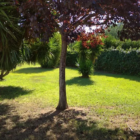 Momon1616 Intero * 갈라티나