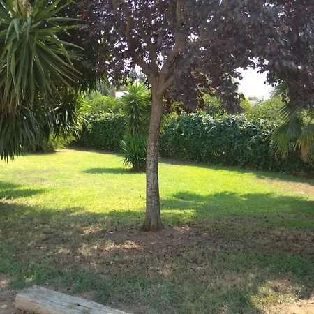 בקתה Momon1616 Intero